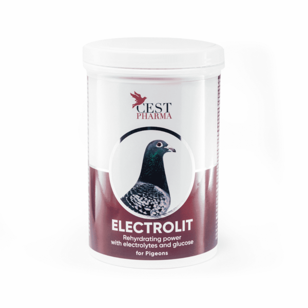 Cest-pharma ELECTROLIT 600 g