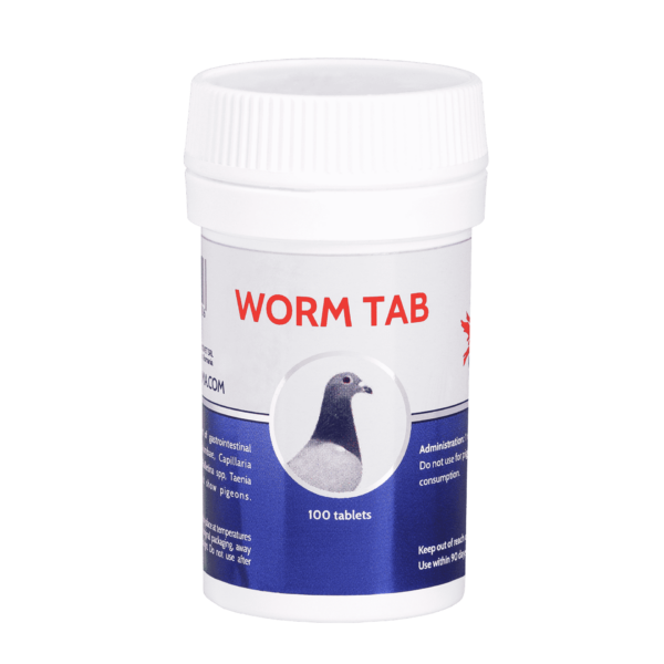 Cest-pharma WORM TAB 100 tablets